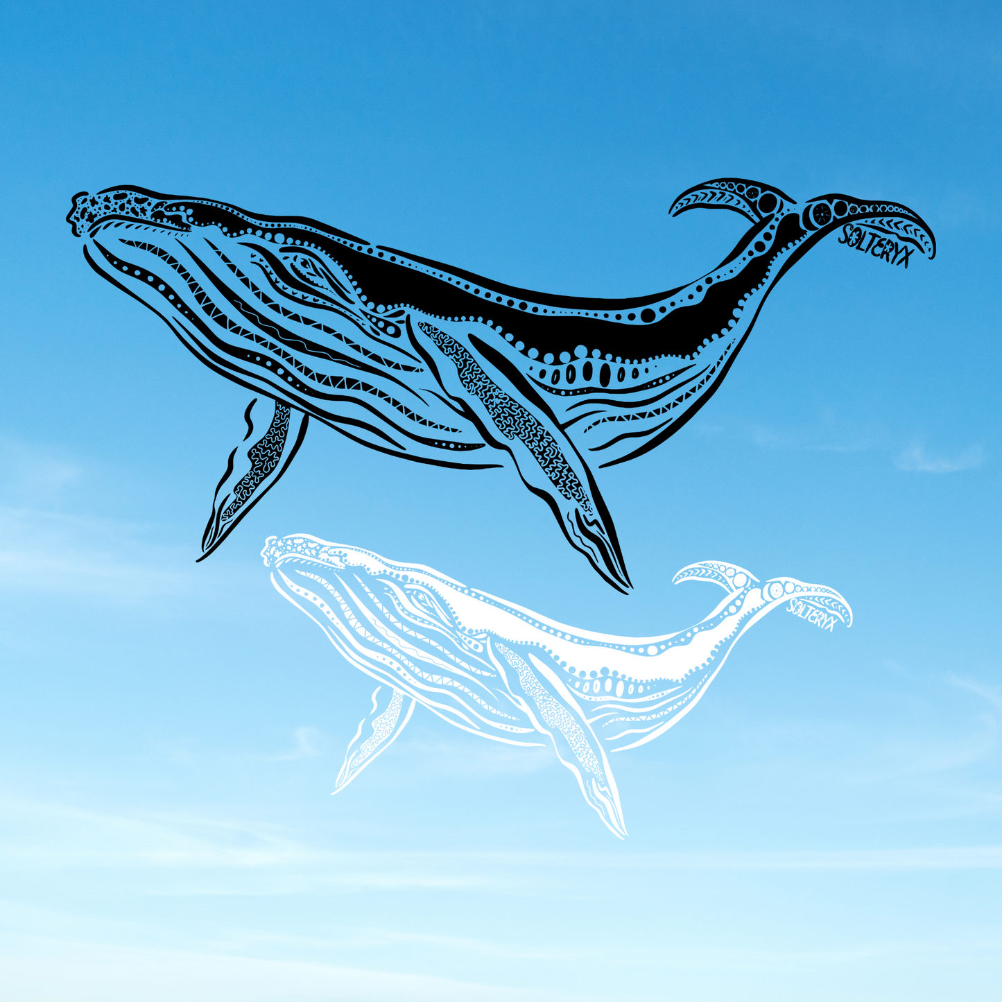 Whale