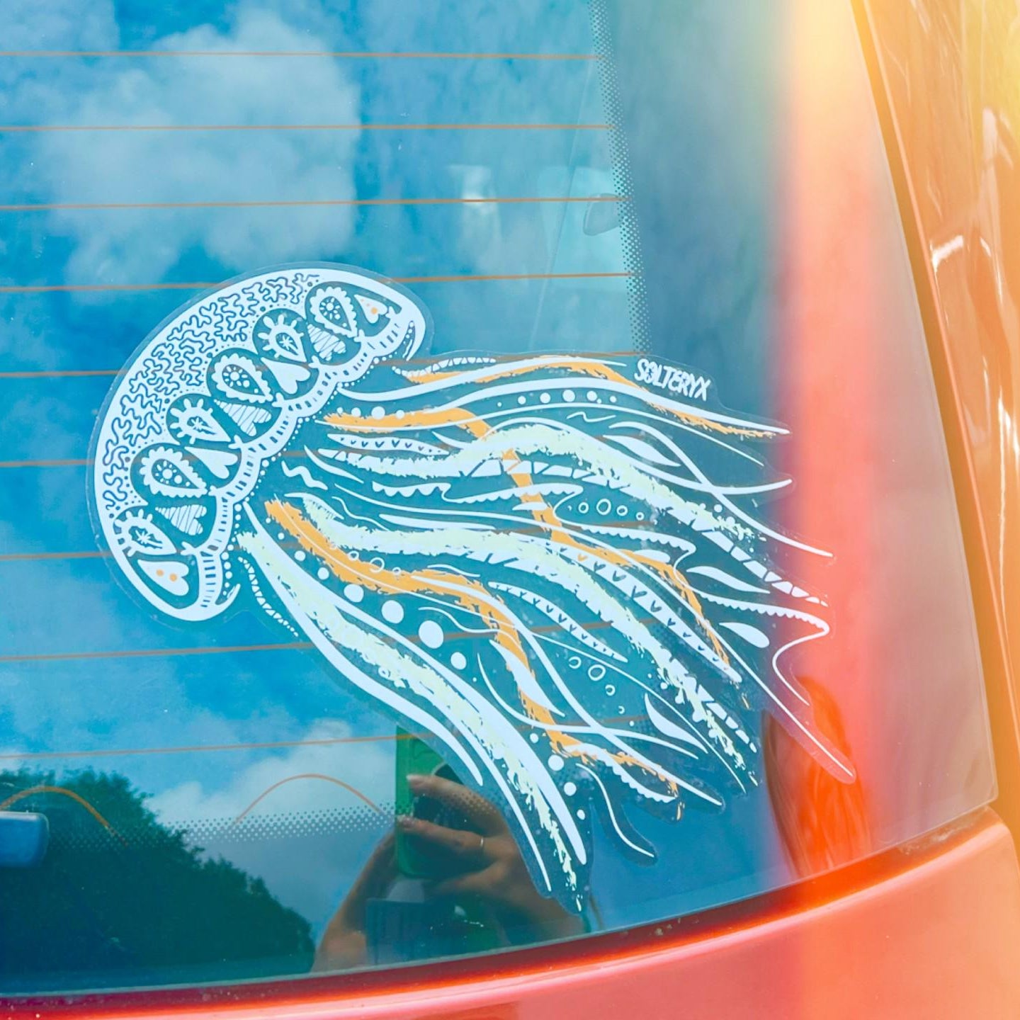Jellyfish