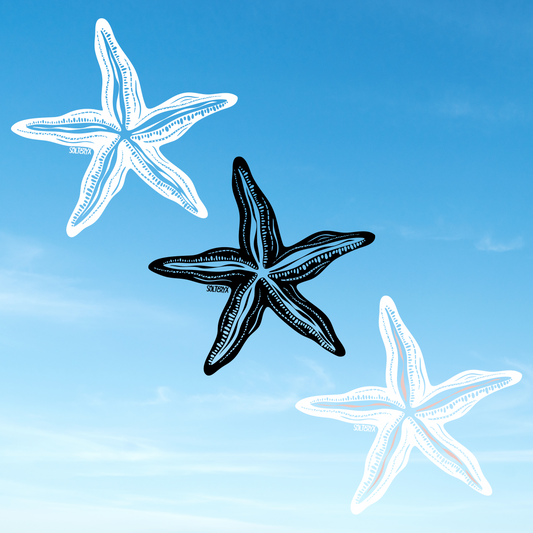 Star Fish