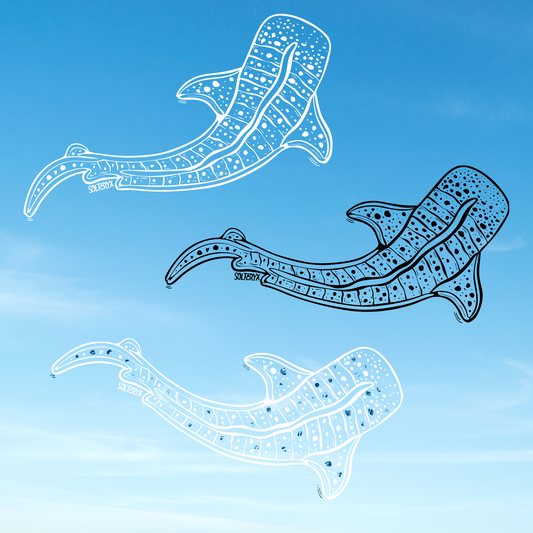 Whale Shark
