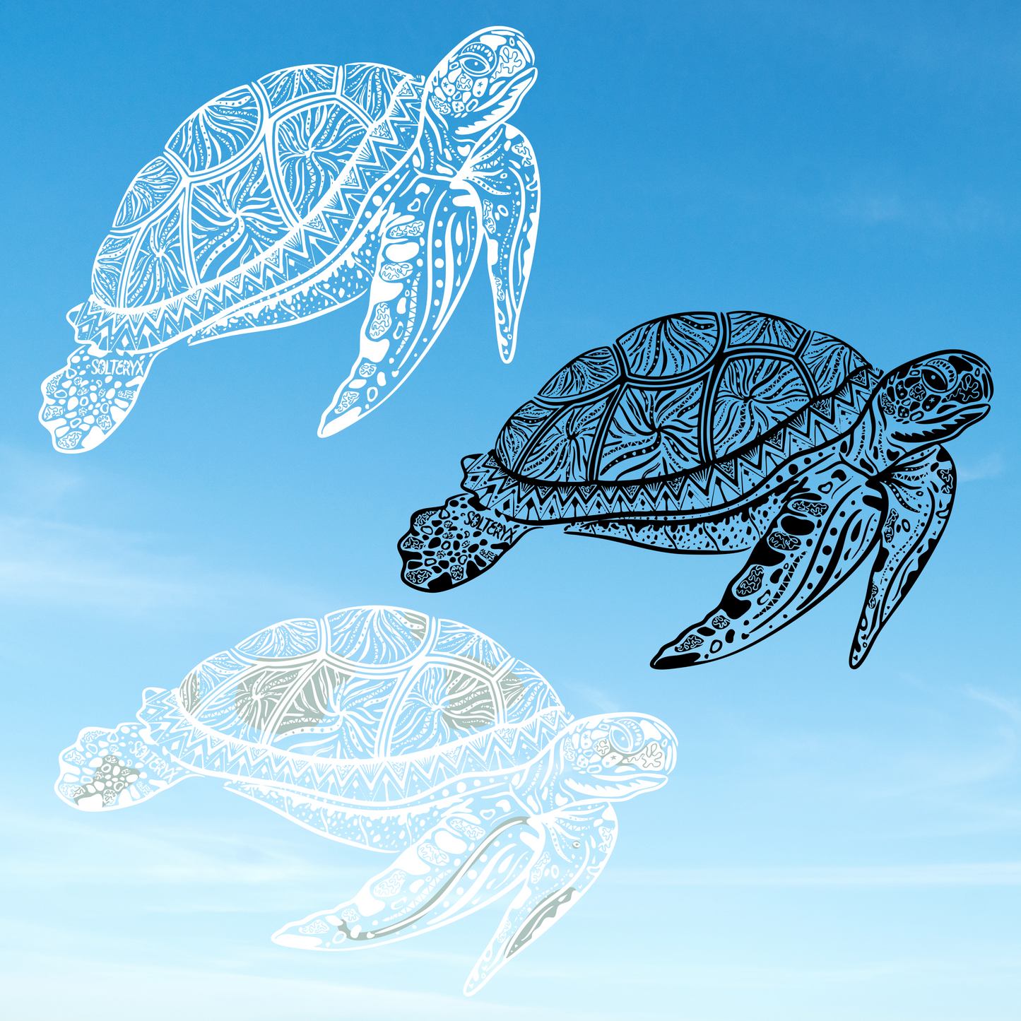 Turtle