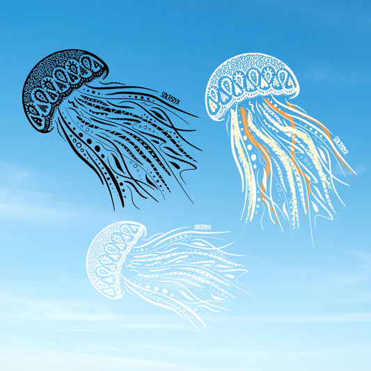 Jellyfish