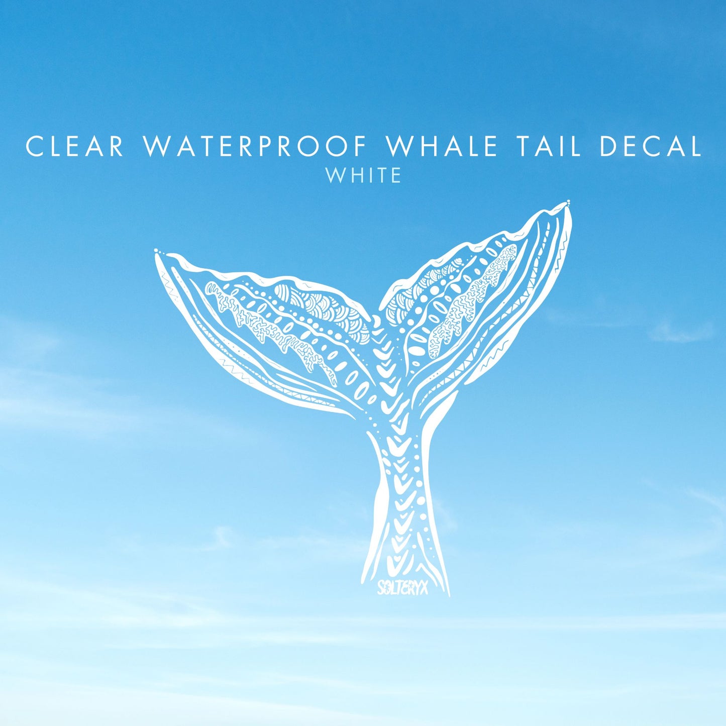 Whale Tail