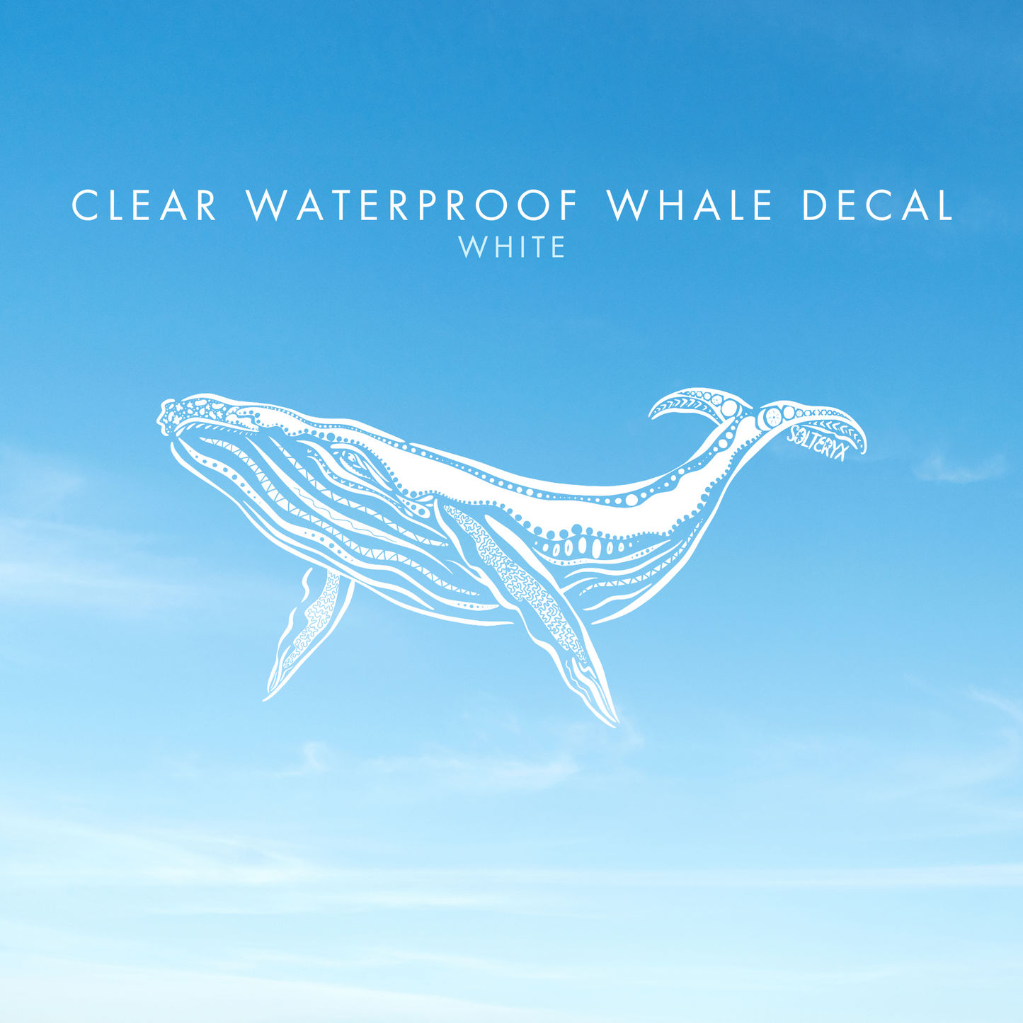 Whale