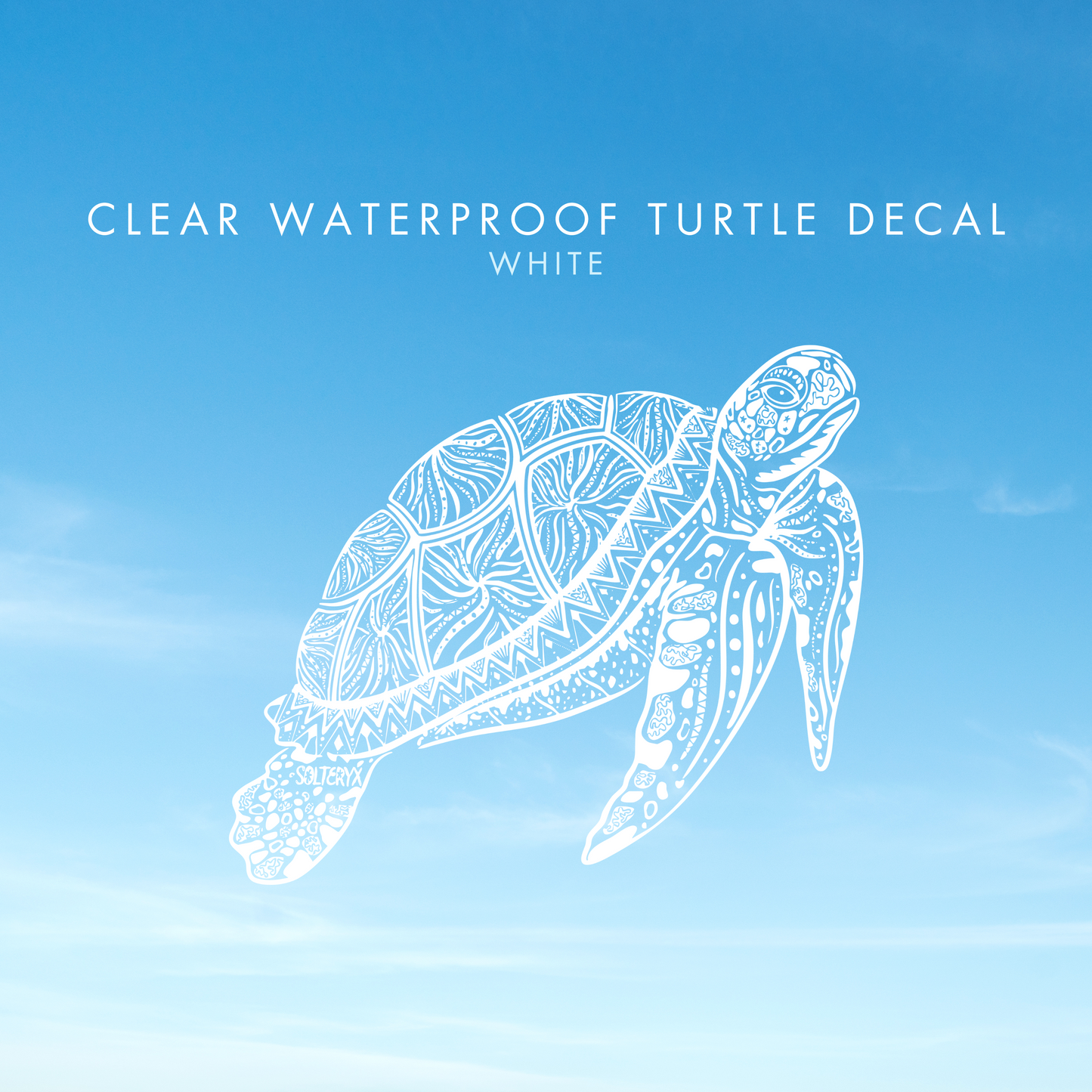 Turtle