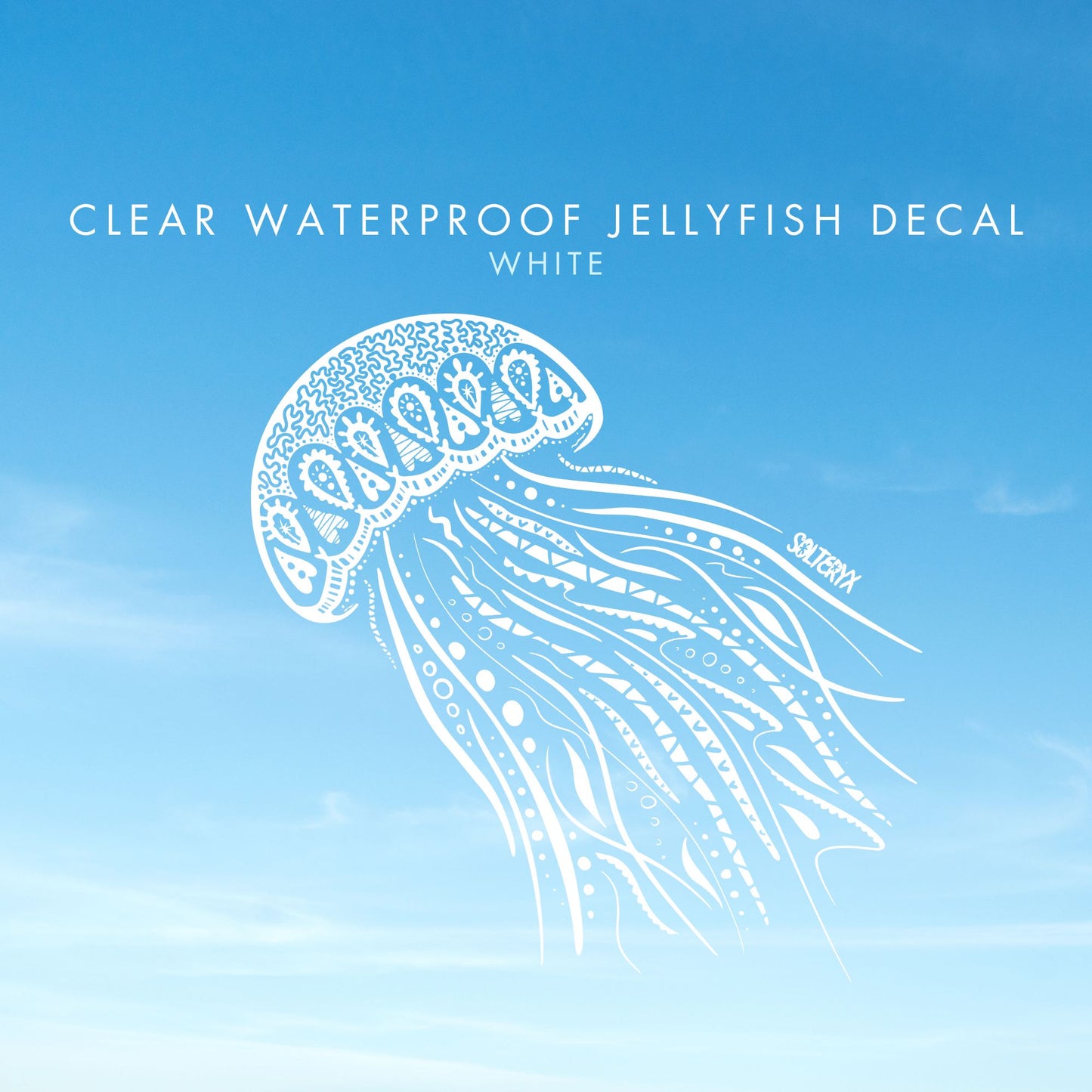 Jellyfish