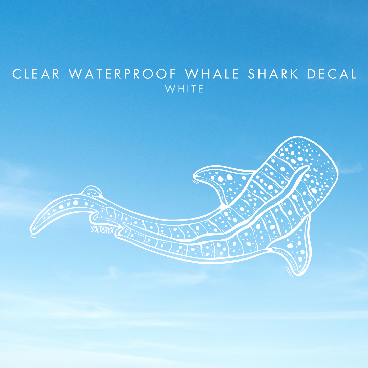 Whale Shark