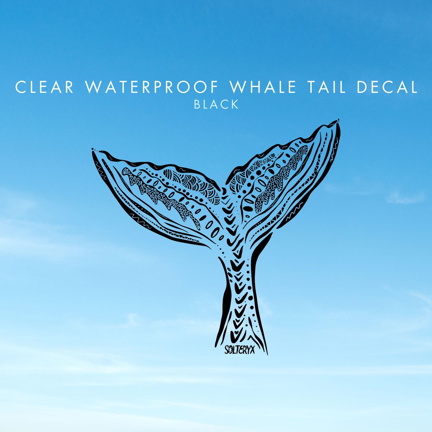 Whale Tail