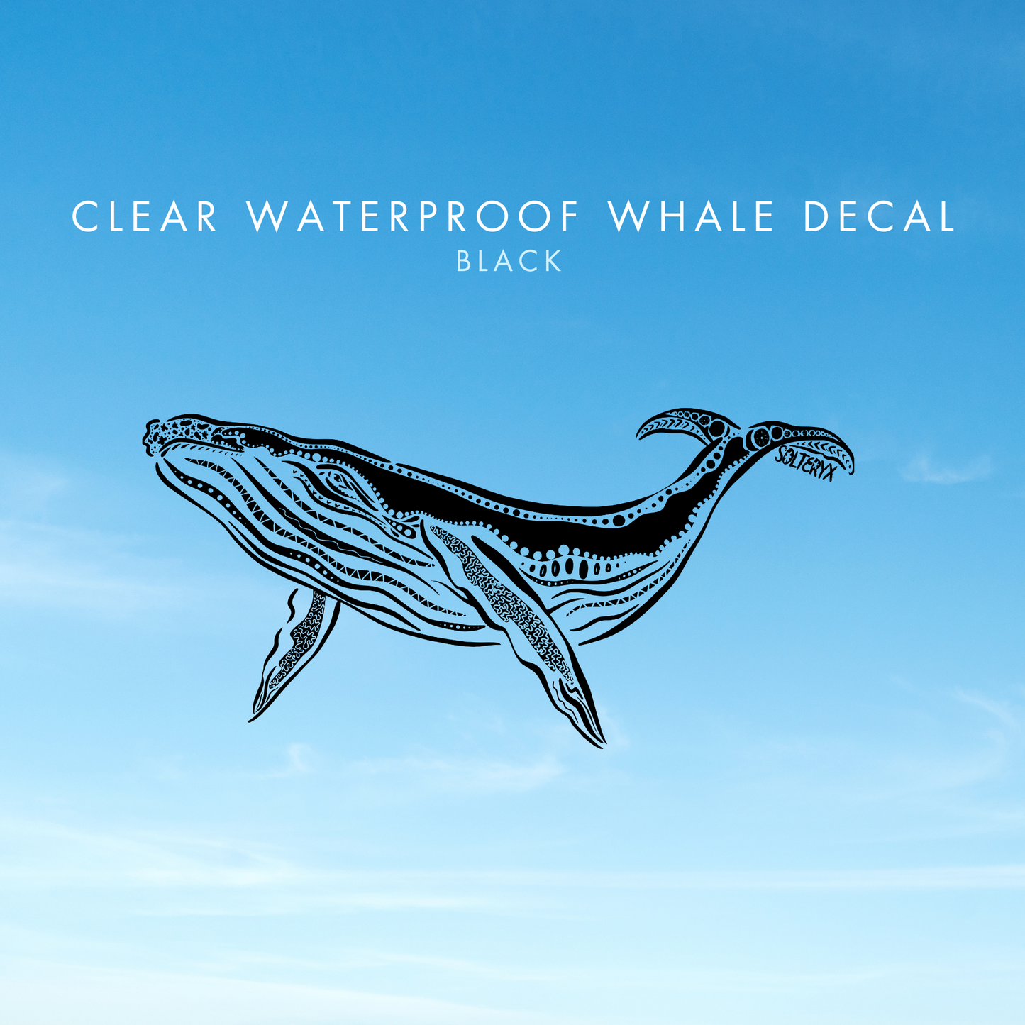 Whale