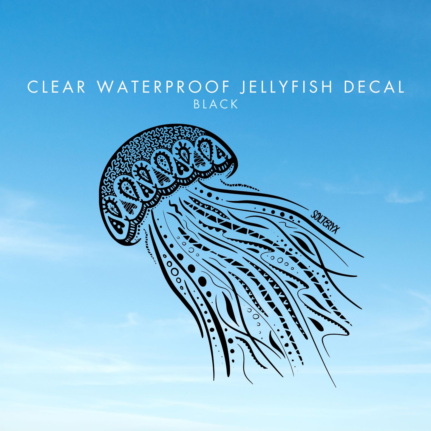 Jellyfish