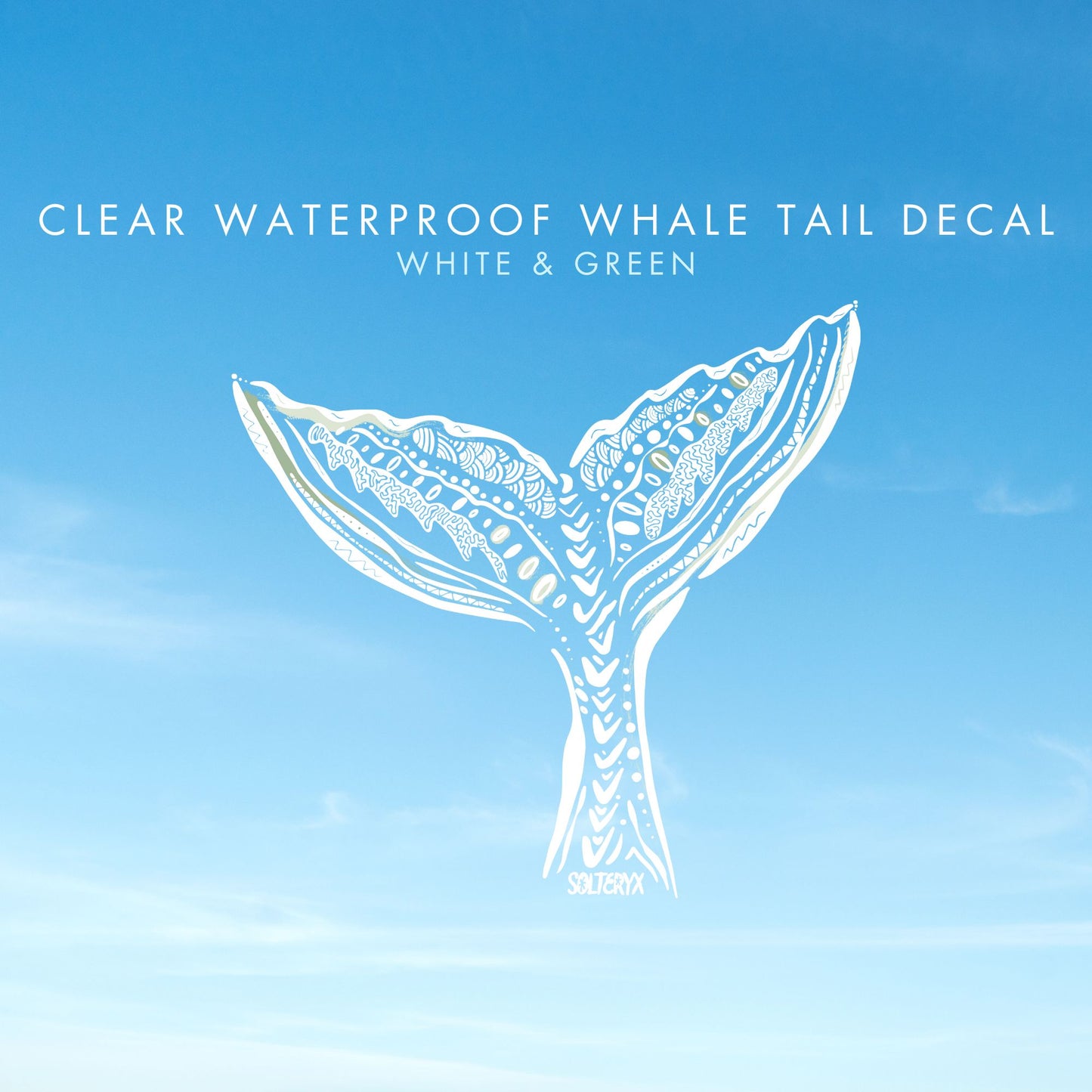 Whale Tail
