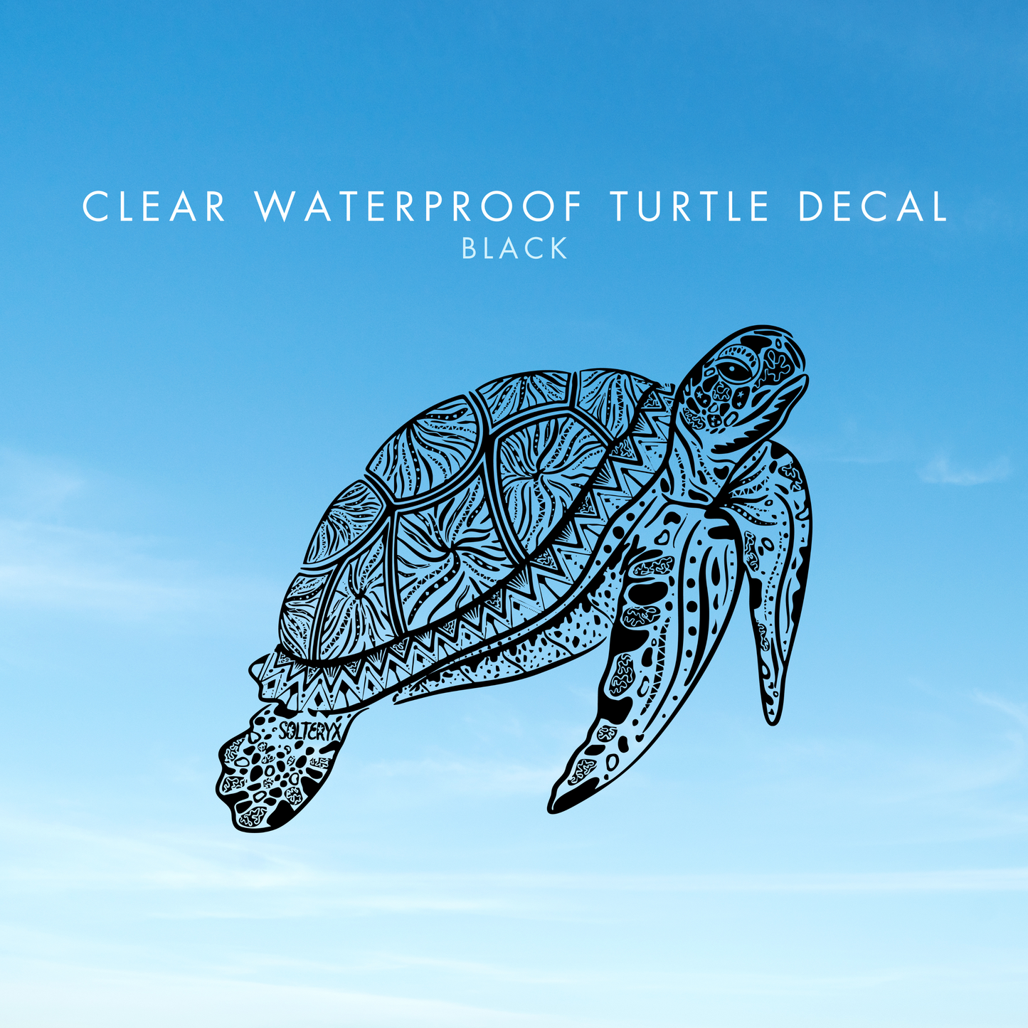 Turtle