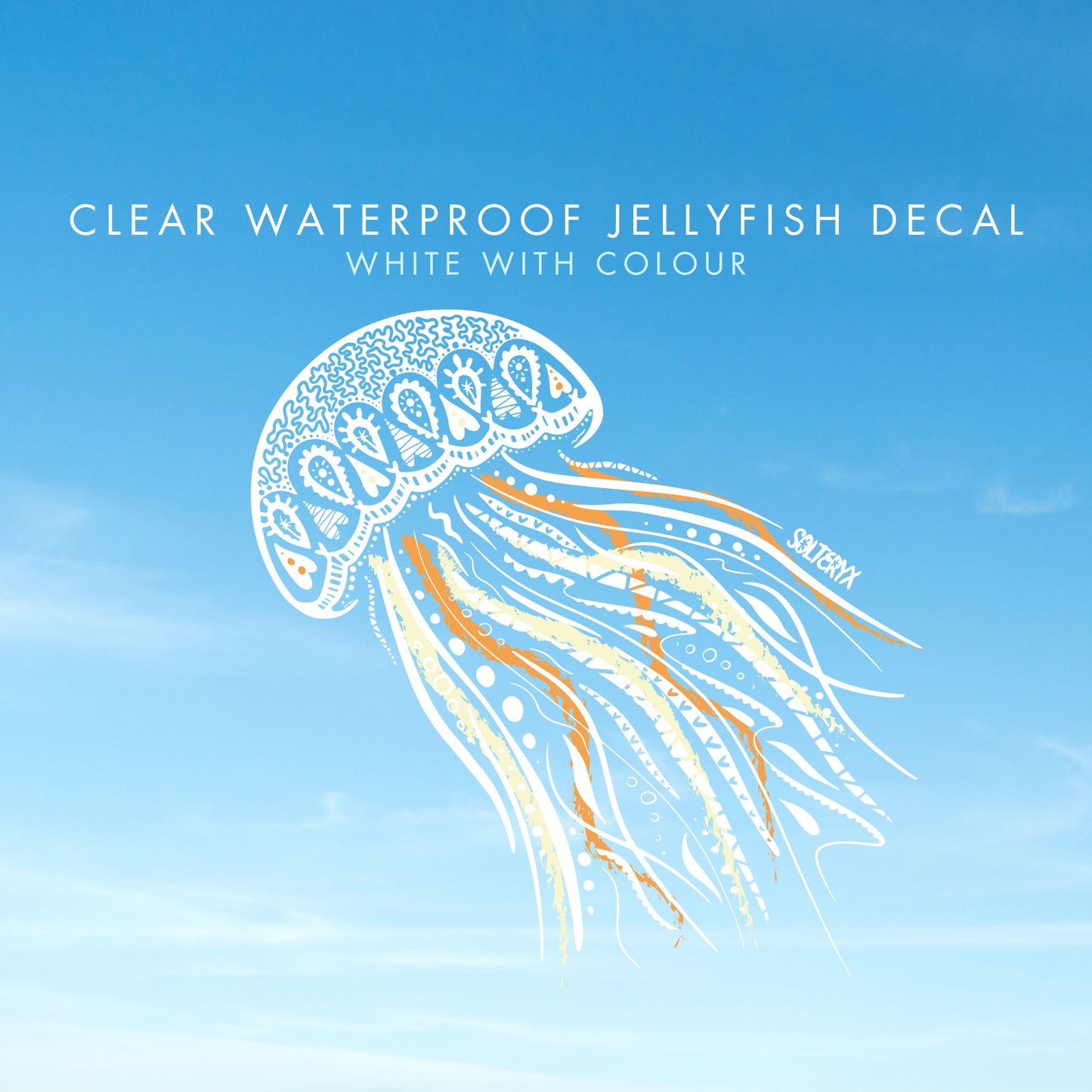 Jellyfish