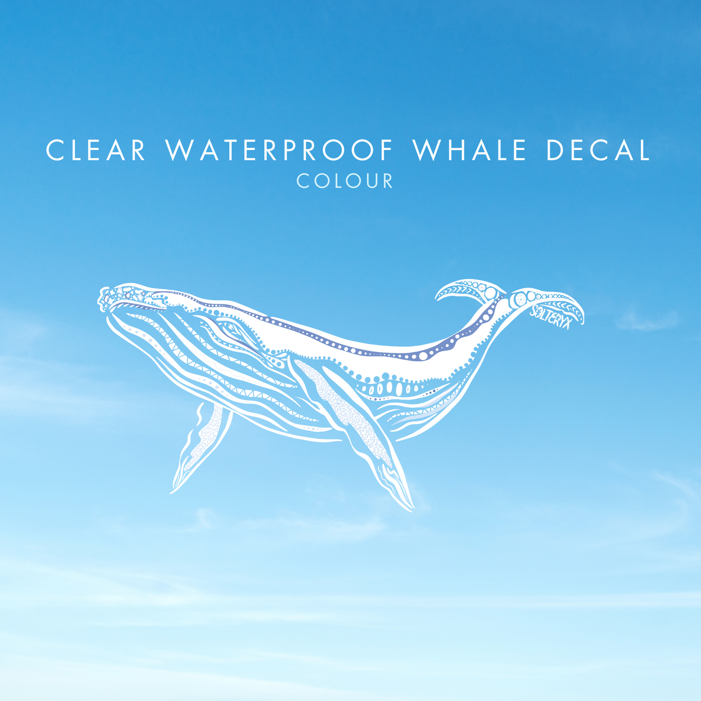 Whale