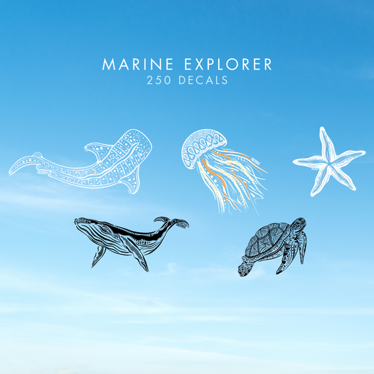 Wholesale Marine Explorer (250 decals)
