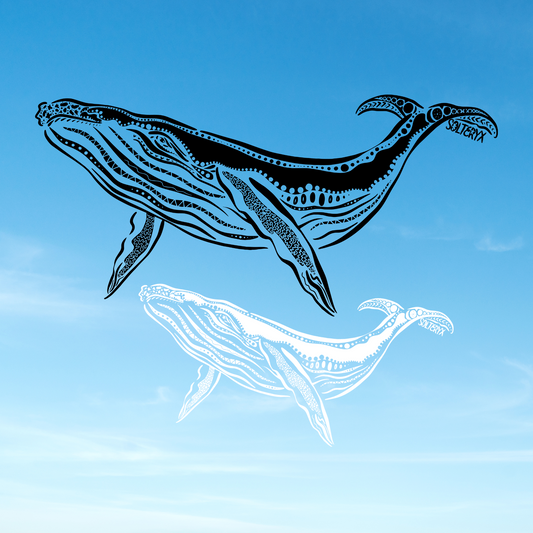 Whale