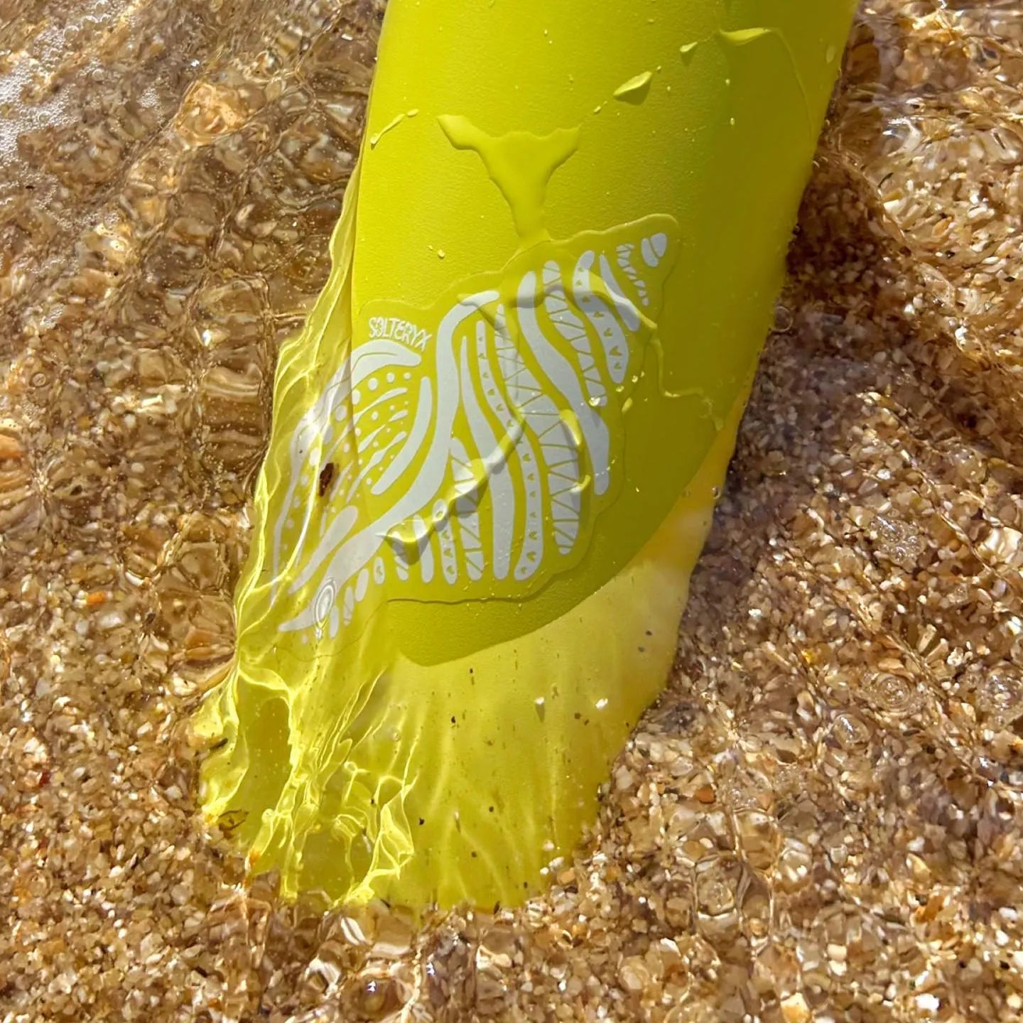 Shell